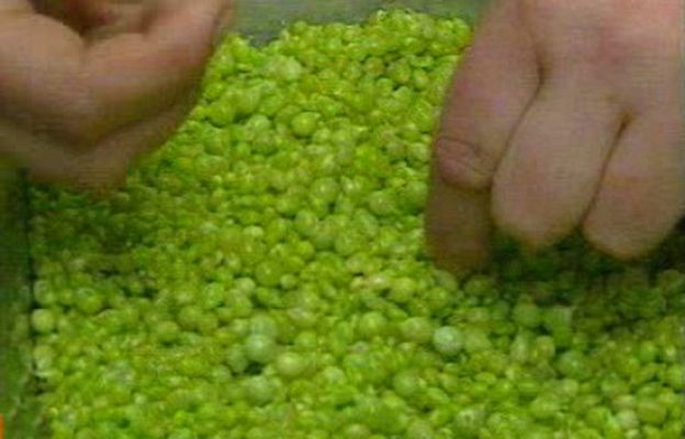 RTVE Cocina - El caviar de la huerta