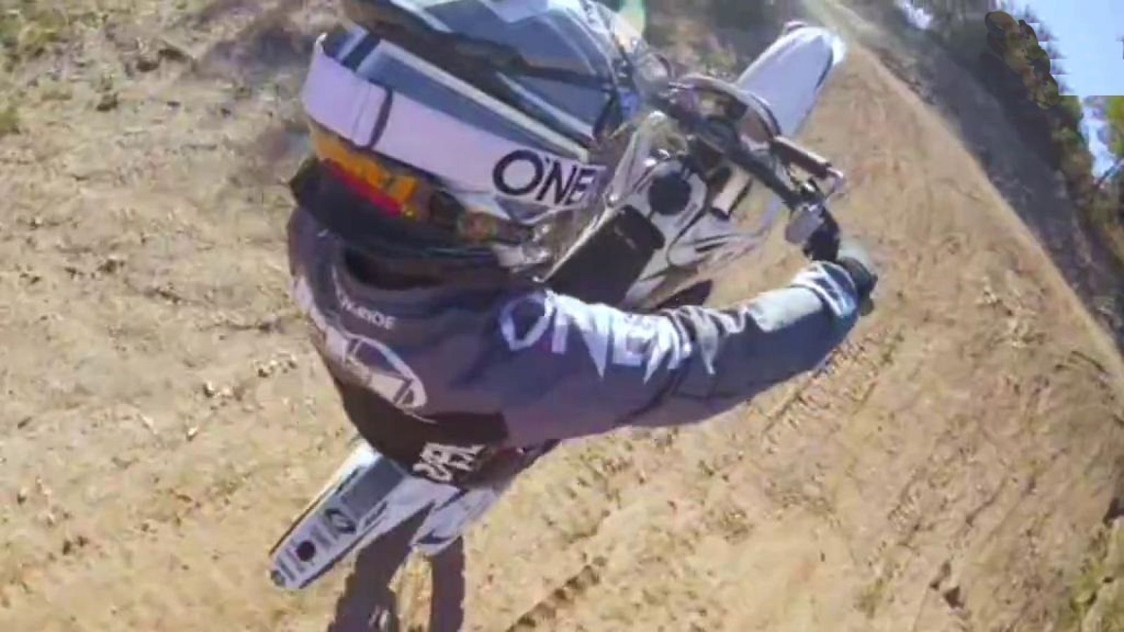 Full activity - Programa 11 - ver ahora