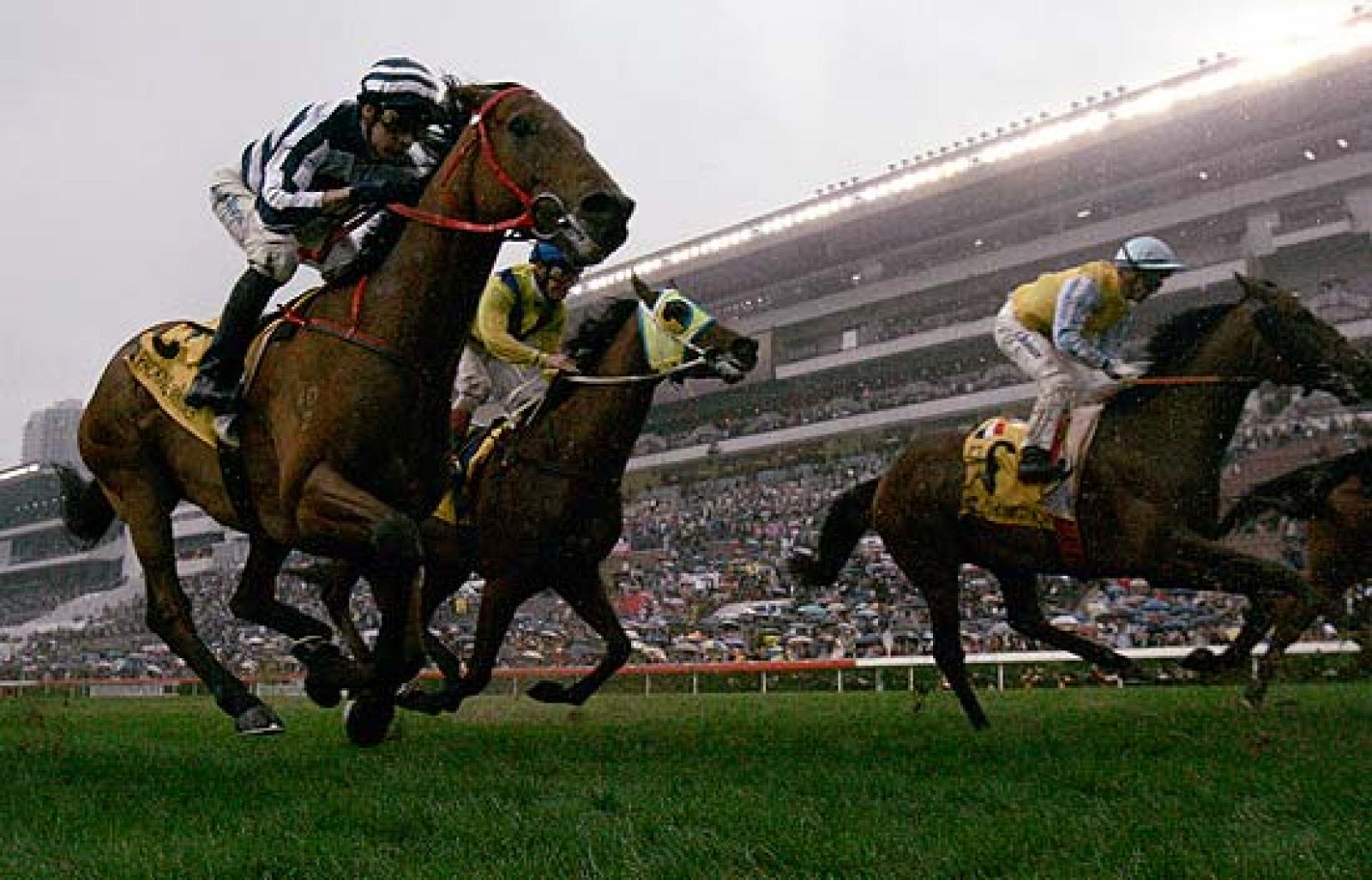 Turf en Hong Kong | Ver