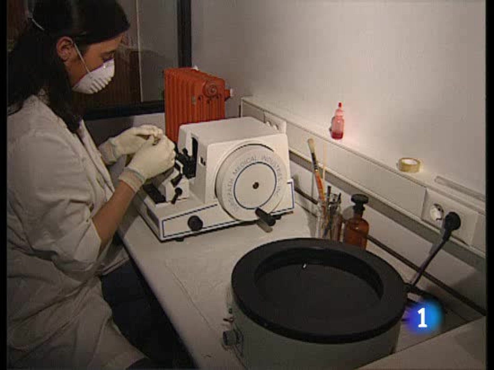 La alerta surge porque el virus H1N1, de origen porcino, ha mutado y se ha contagiado entre humanos - Ciencia y tecnología en Rtve.es | Ver