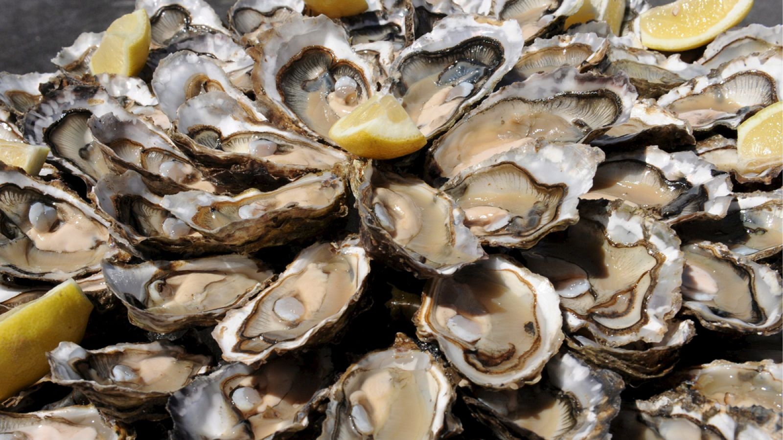 Más de 1.500 toneladas de marisco fresco se venderán durante el mes de diciembre en Cataluña