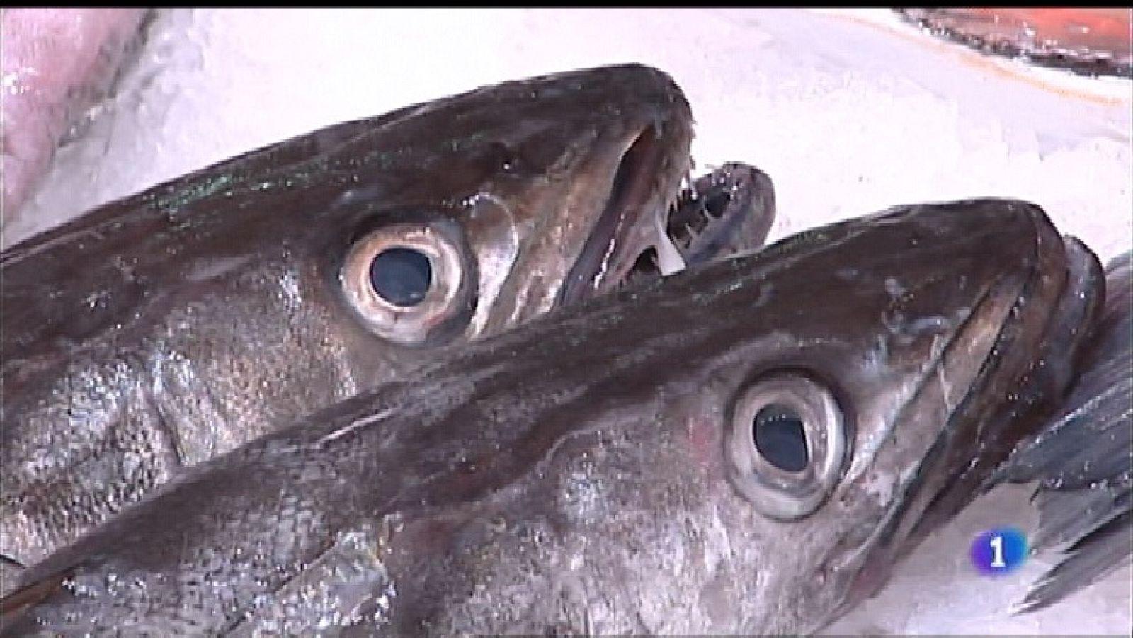 Panorama Regional 2 - 19/12/18 | Ver