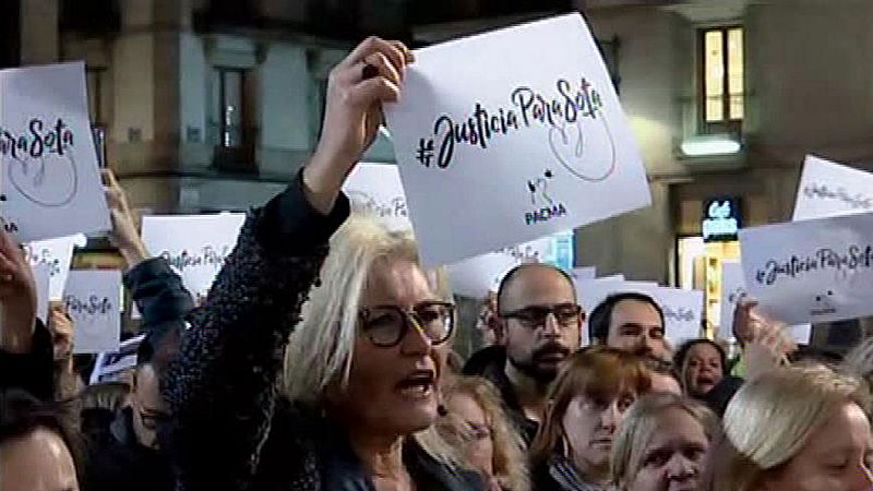 Muere un perro por el disparo de un guardia urbana en Barcelona