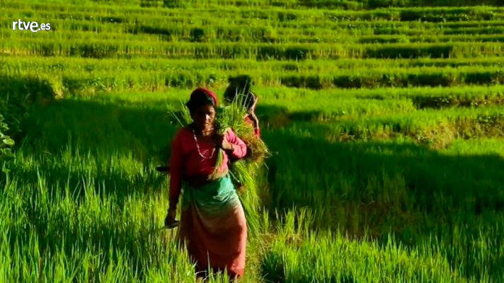 RTVE Igualdad - Las mujeres rurales alzan la voz