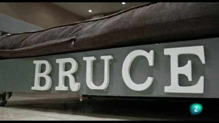 La meva mascota i jo - La segona oportunitat del Bruce - La meva mascota i jo
