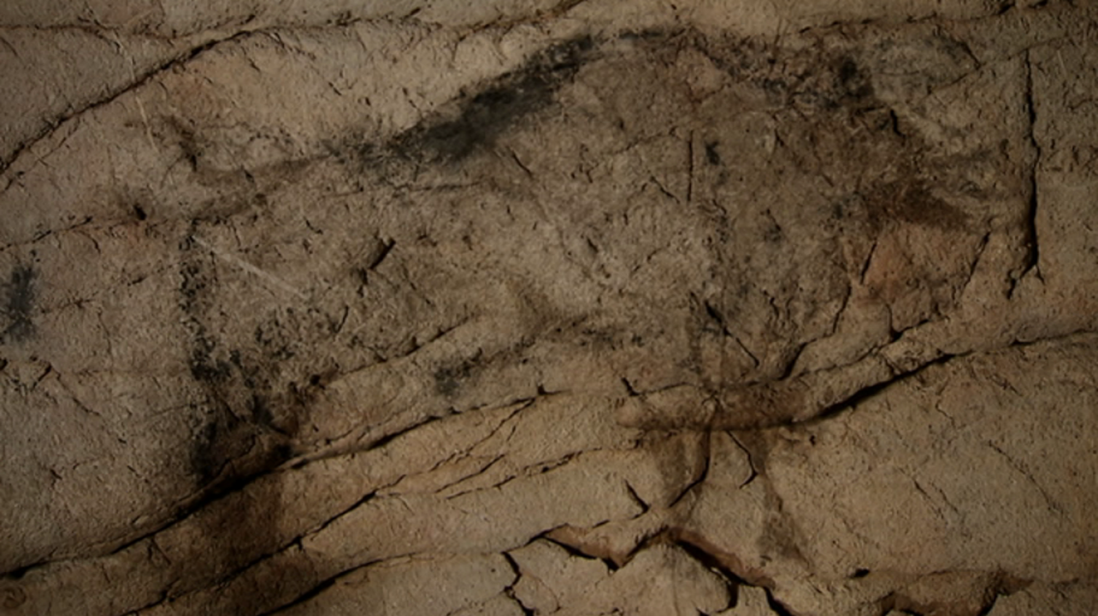 UNED - 21/12/18 - ver ahora