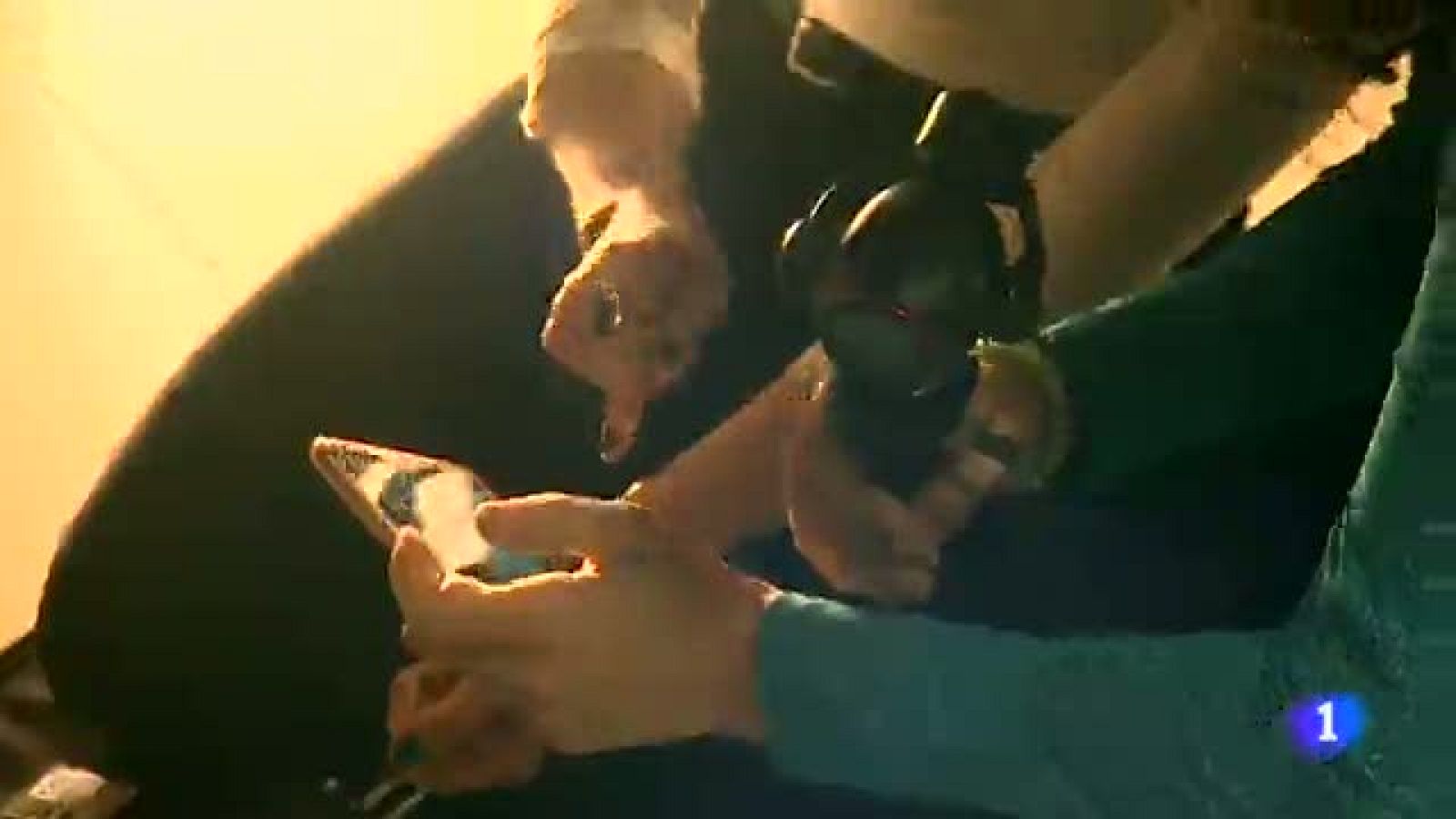 Making of Felicitación Navideña-21/12/18