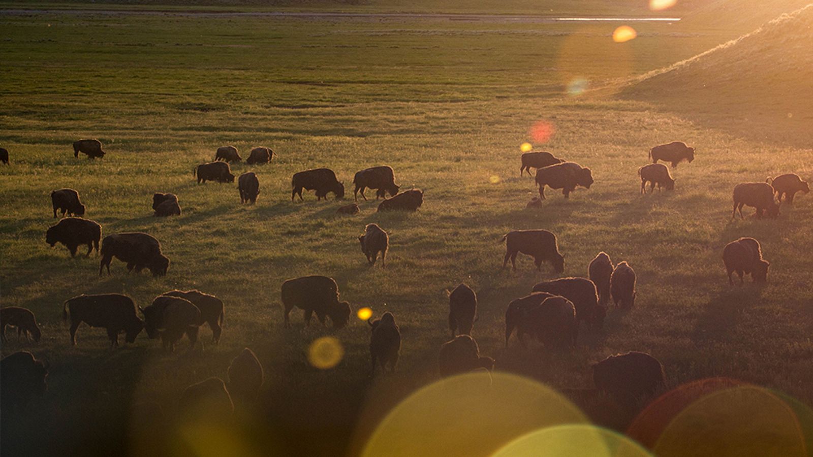 Grandes documentales - El gran deshielo americano: El abrasador verano - ver ahora