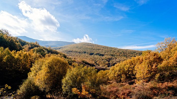 El tiempo - Poco nuboso en casi todo el país salvo alguna niebla
