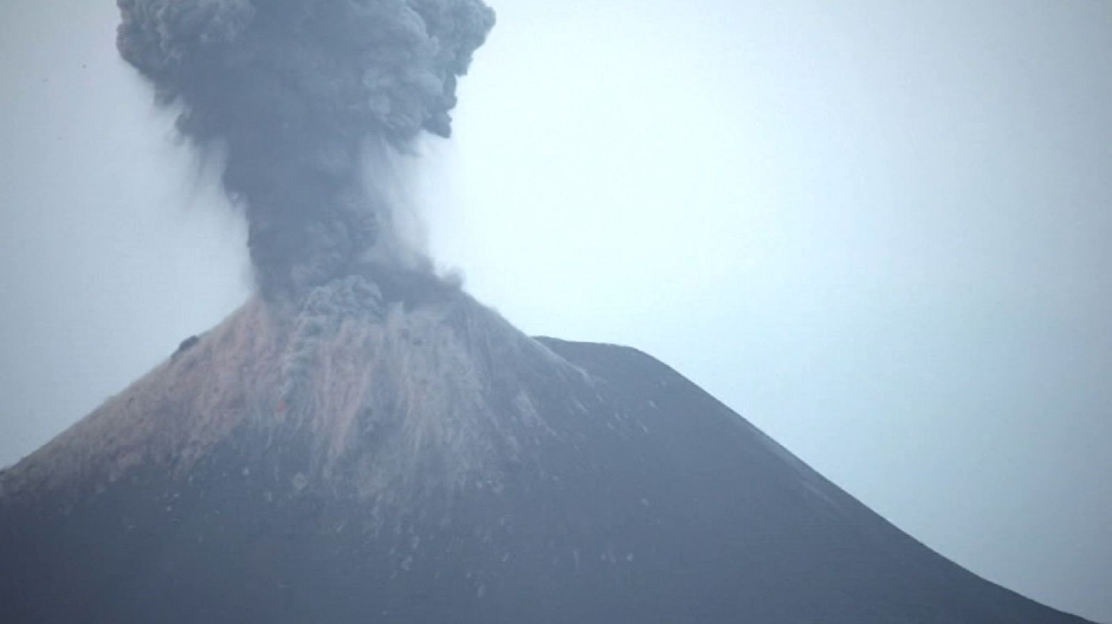 La noche en 24 horas - 24/12/18 - ver ahora