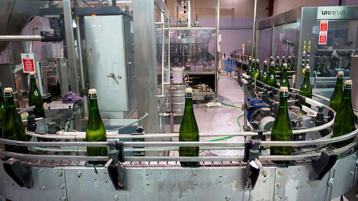 Telediario 1 - El Gobierno congelará el número de hectáreas cultivadas para hacer cava