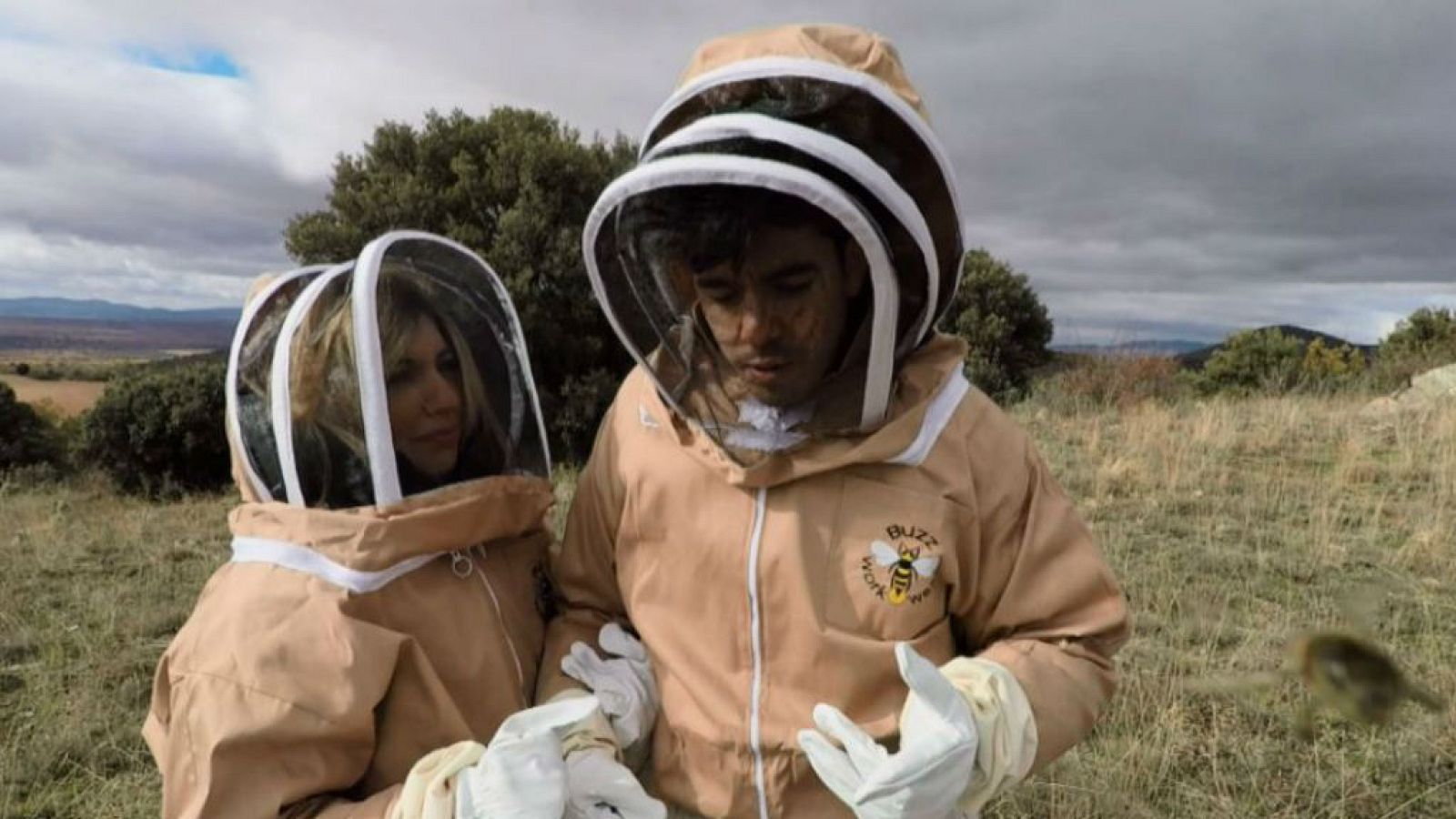 Roi, de Operación Triunfo, y las abejas en Aquí la tierra | Ver