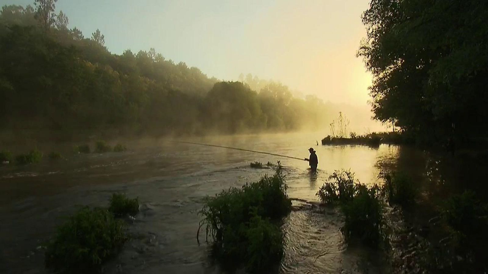 Jara y sedal - Proyecto ARCA - ver ahora