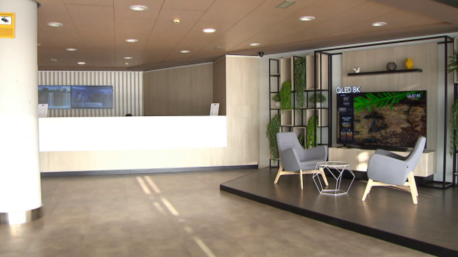 Zoom Net - Resumen del año - ver ahora