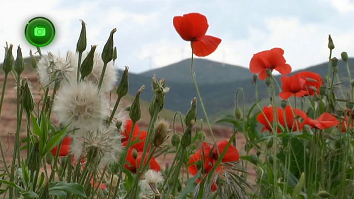 Agrosfera - Agrosfera - 29/12/18