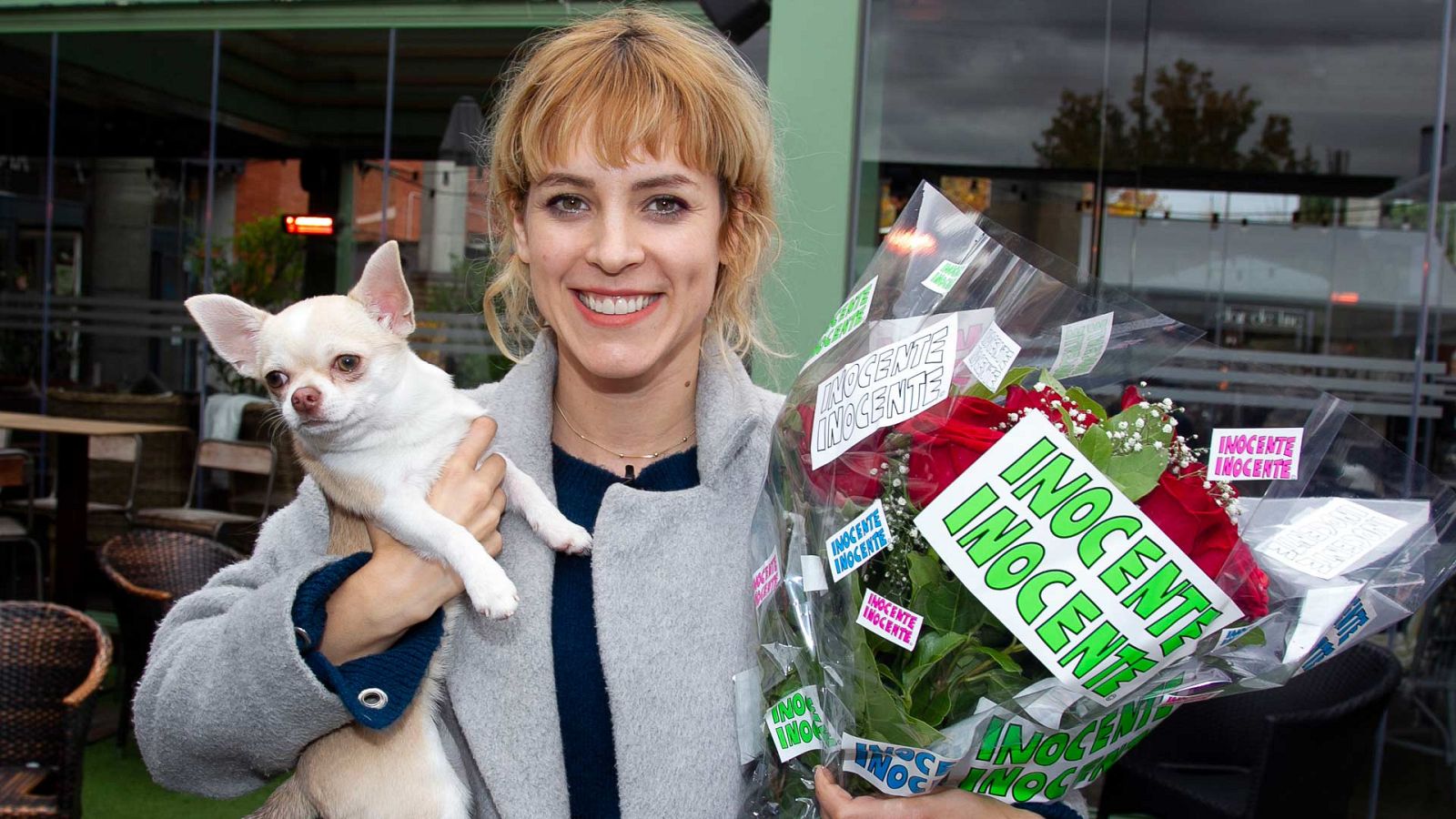 Gala Inocente, Inocente 2018 - Maggie Civantos "provoca" una concentración masiva de chiguaguas