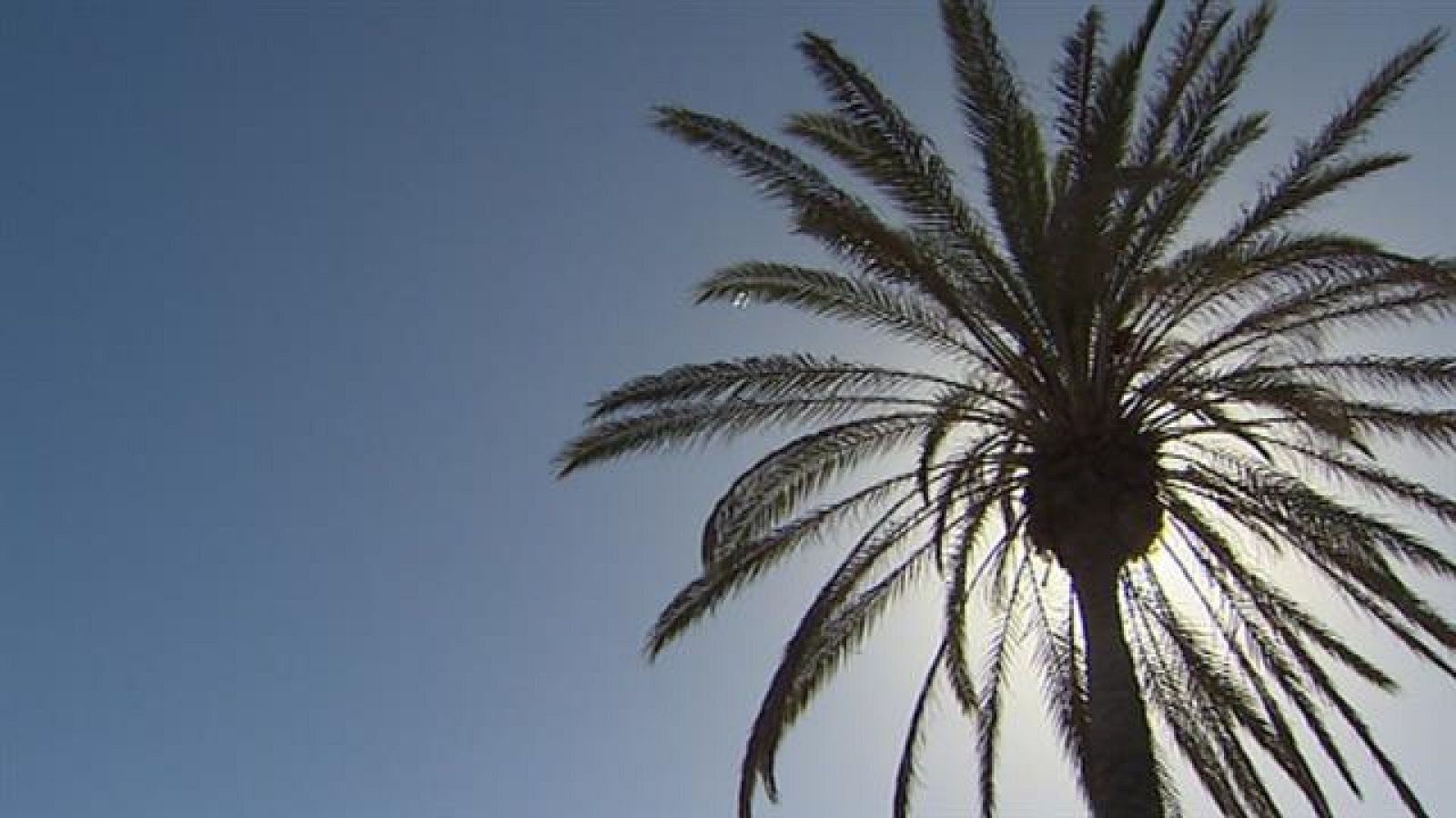 El tiempo en Canarias - 29/12/2018