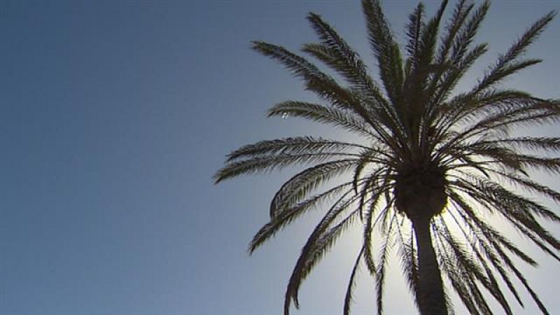 El tiempo en Canarias - 29/12/2018