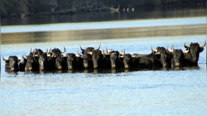Tendido cero - Tendido cero - 29/12/18