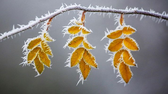 El tiempo - Heladas en buena parte de las mitades norte y este de la península