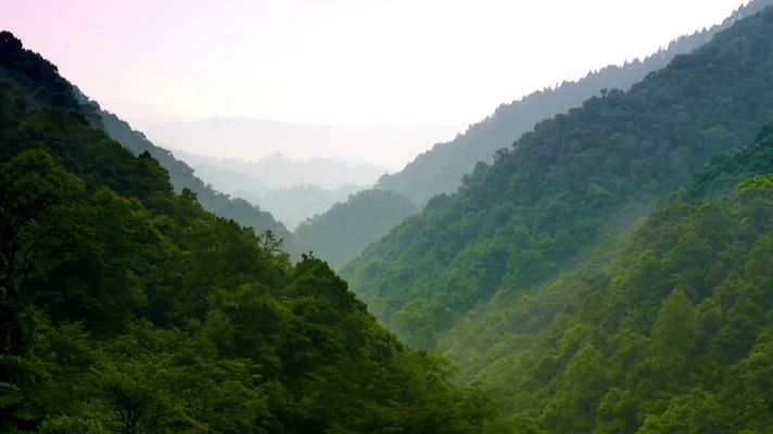 Somos Documentales - Historias de las Montañas de la Bruma
