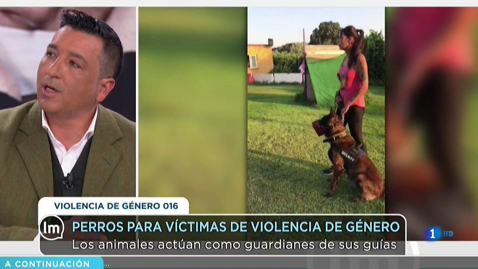 La Mañana - Así son los perros guardianes de las víctimas de violencia de género