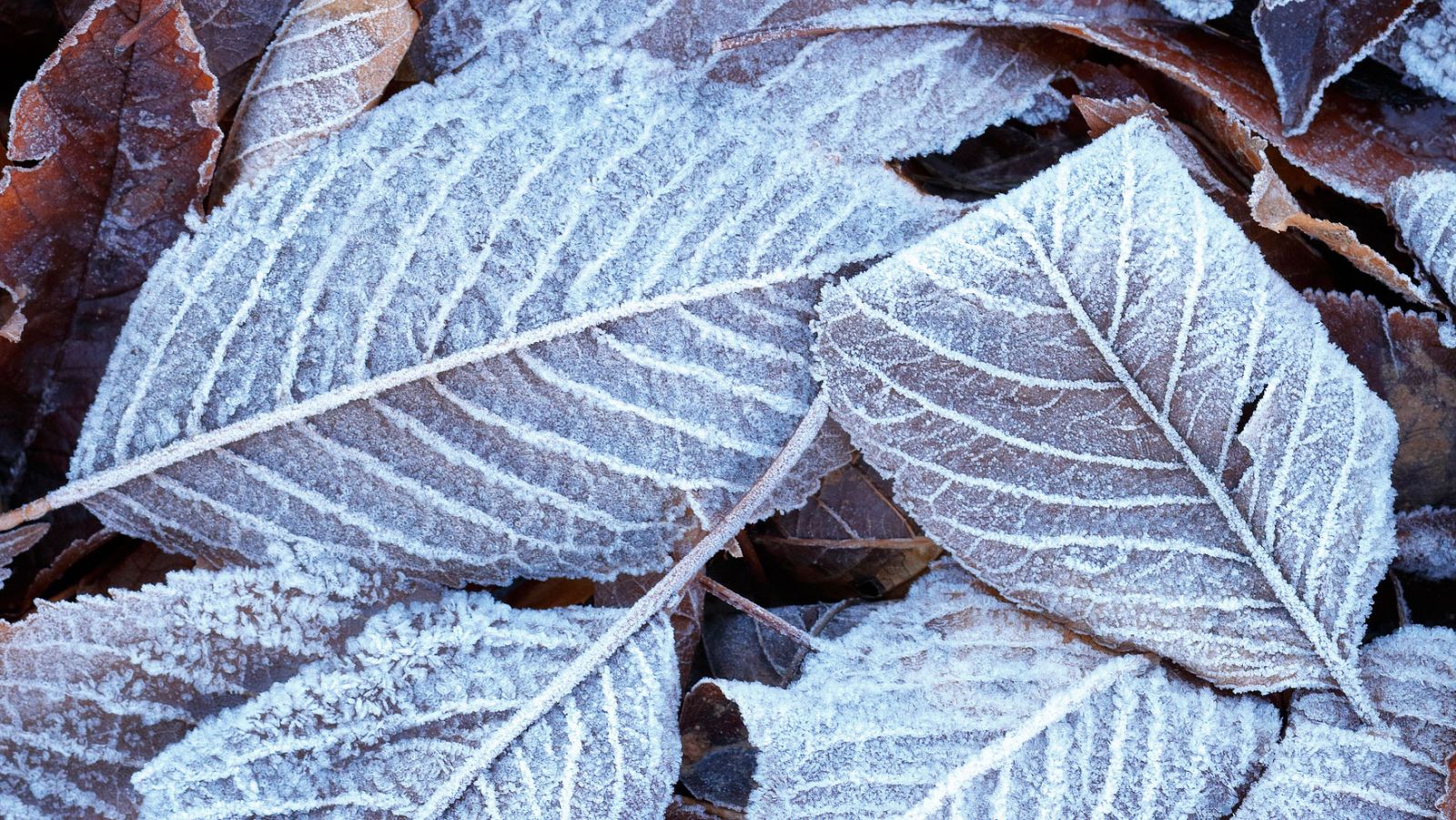 El Tiempo en la Comunidad de Madrid - 04/01/19 - ver ahora