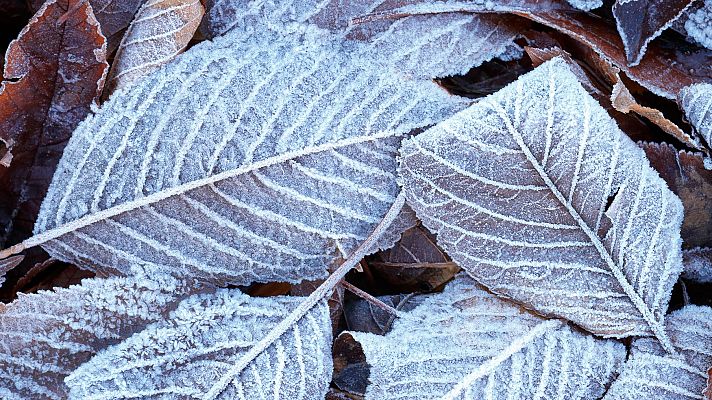 Informativo de Madrid - El Tiempo en la Comunidad de Madrid - 04/01/19