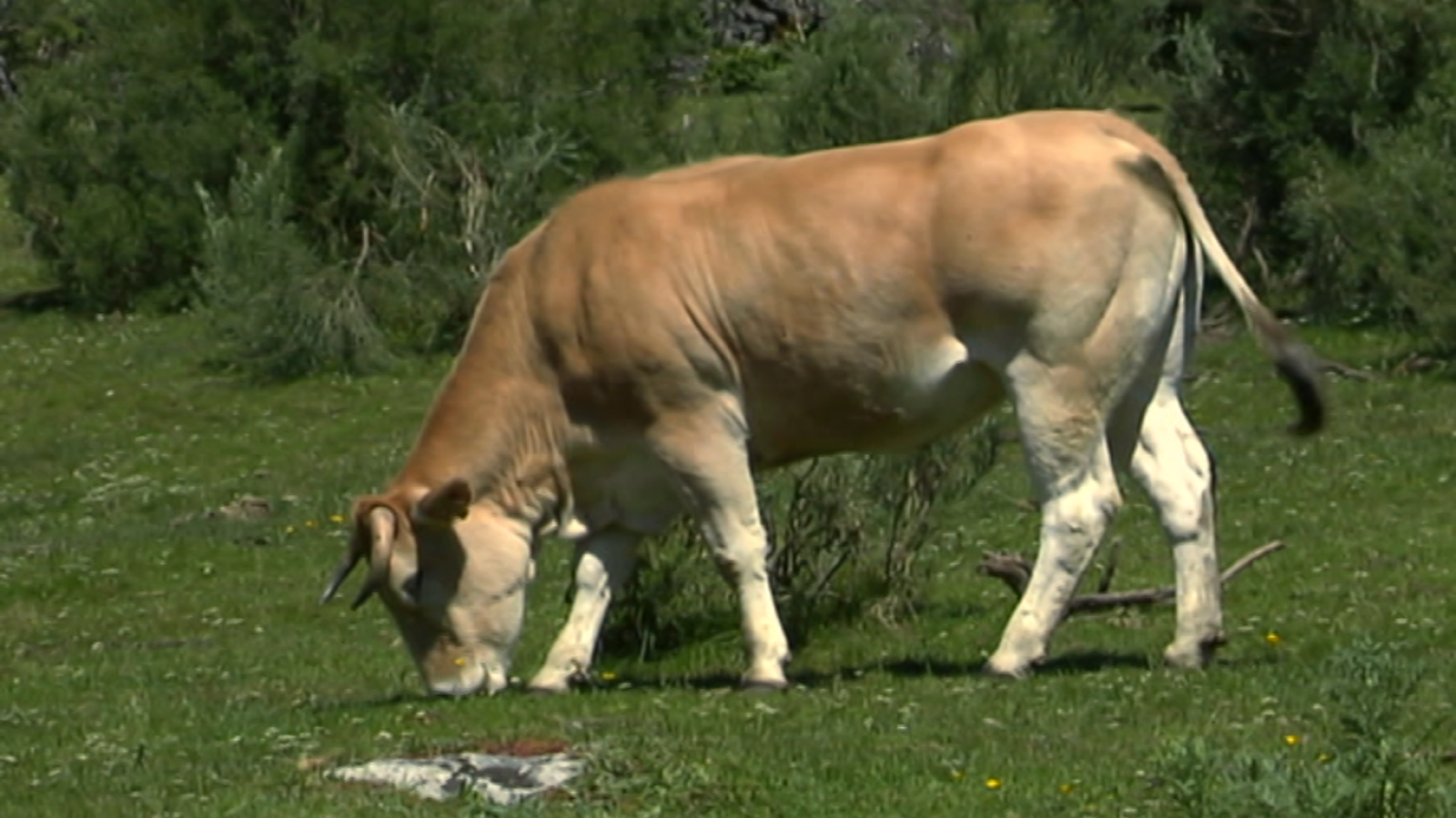 Agrosfera - 05/01/19 - ver ahora
