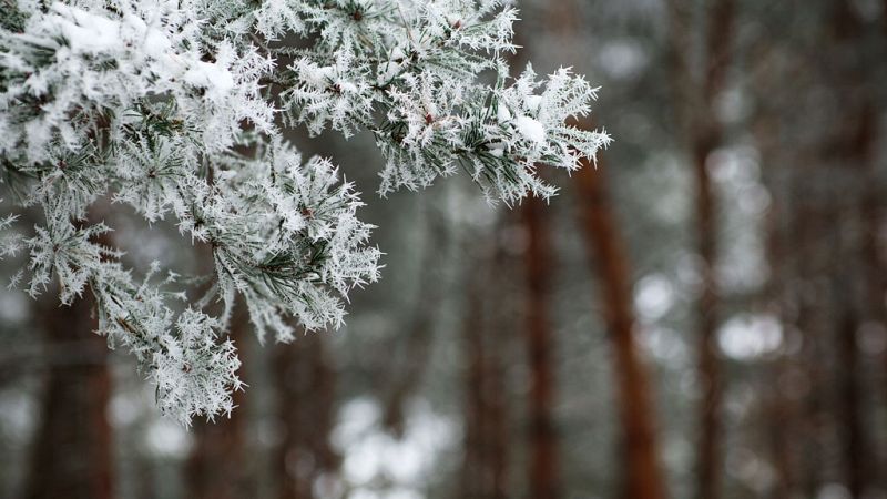 Temperaturas mínimas significativamente bajas en el norte y zona centro peninsular - Ver ahora