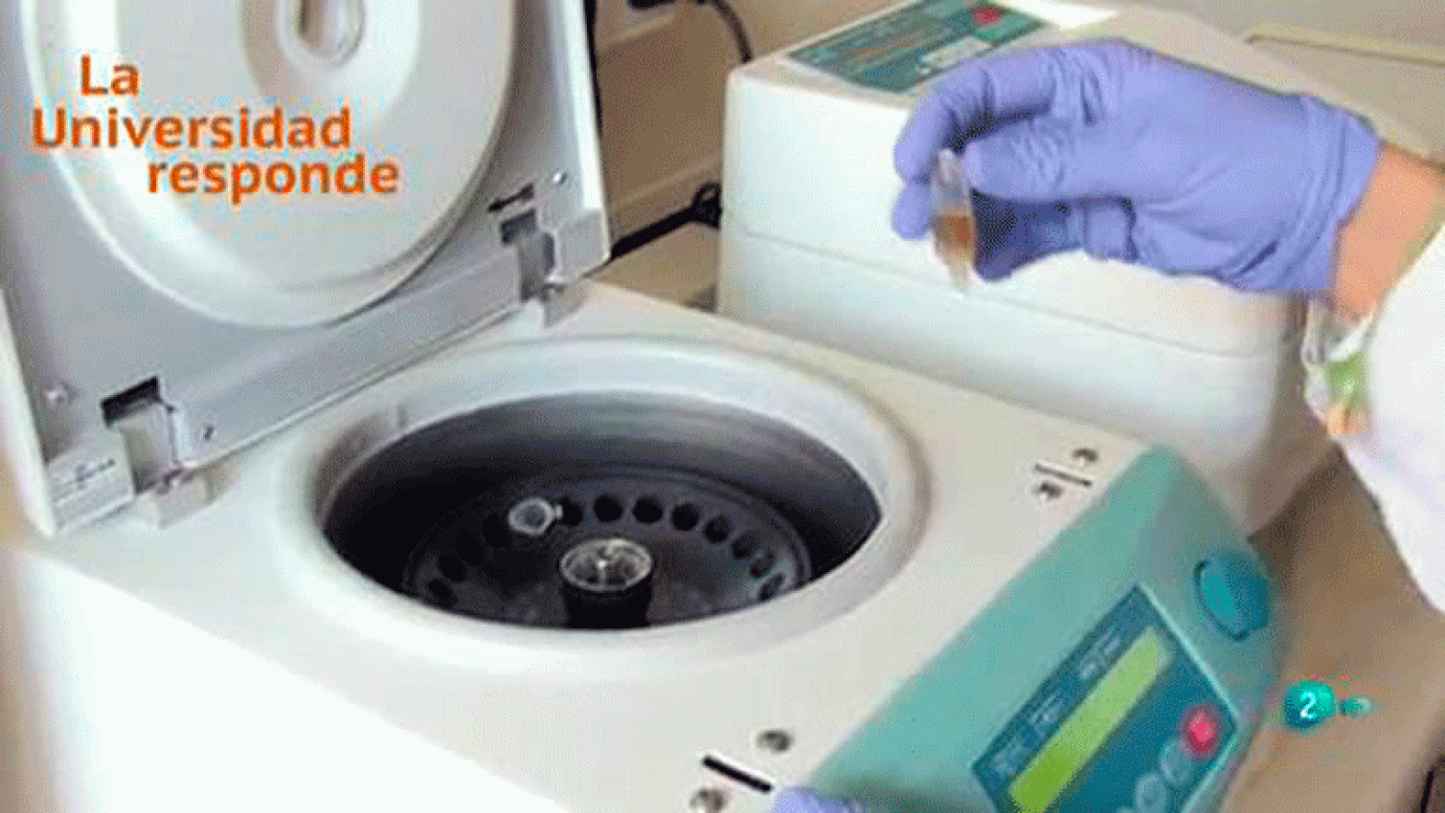 La Universidad Responde. Universidad de Murcia: Cómo obtener biodiesel y fragancias mediante proceso limpio La aventura del saber