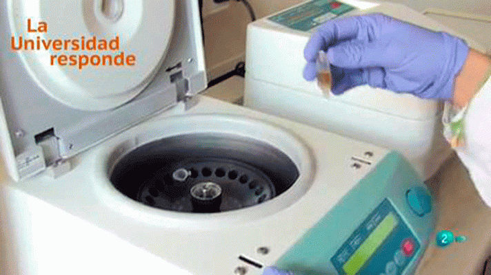 La aventura del Saber - Cómo obtener biodiesel y fragancias mediante proceso limpio