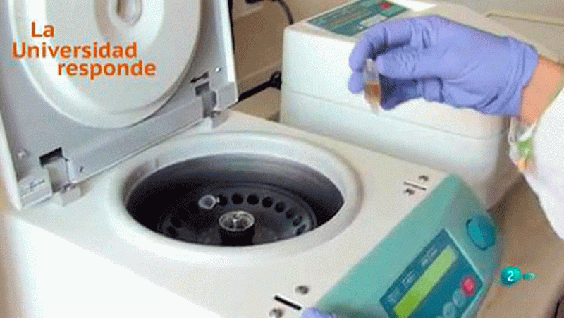 La Universidad Responde. Universidad de Murcia: Cómo obtener biodiesel y fragancias mediante proceso limpio La aventura del saber