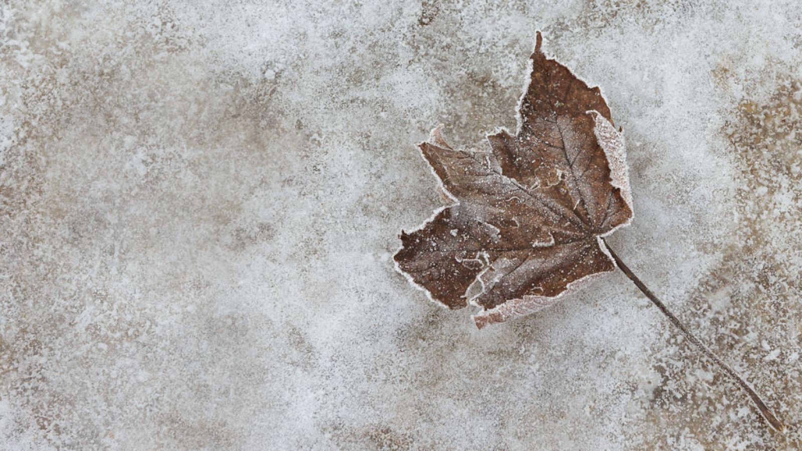 Una masa de aire polar desplomará las temperaturas