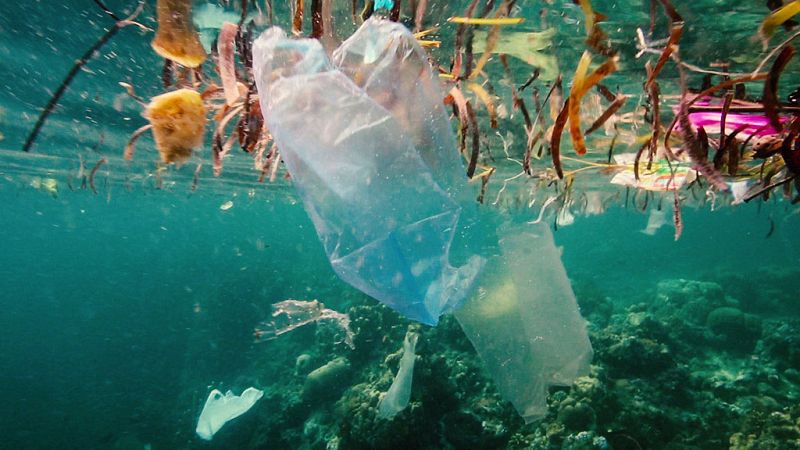 Documentos TV - Plástico por todas partes - ver ahora