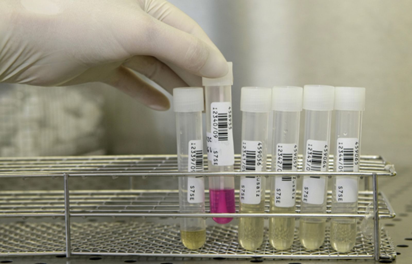 Telediario 1 en cuatro minutos - 30/04/09 | Ver