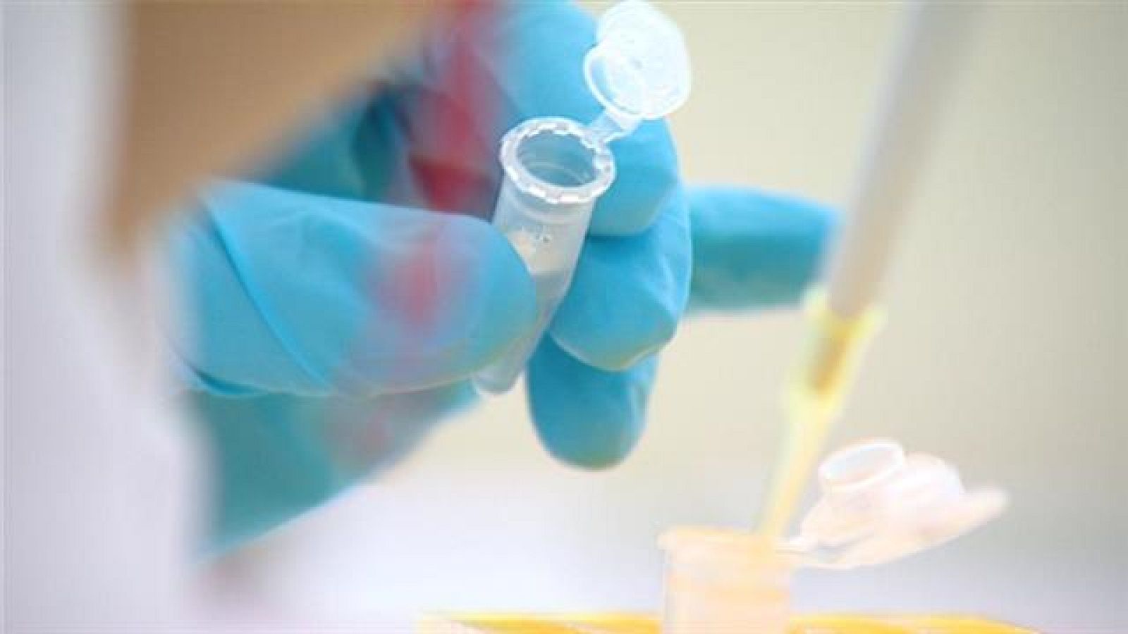 Canarias en 2' - 11/01/2019