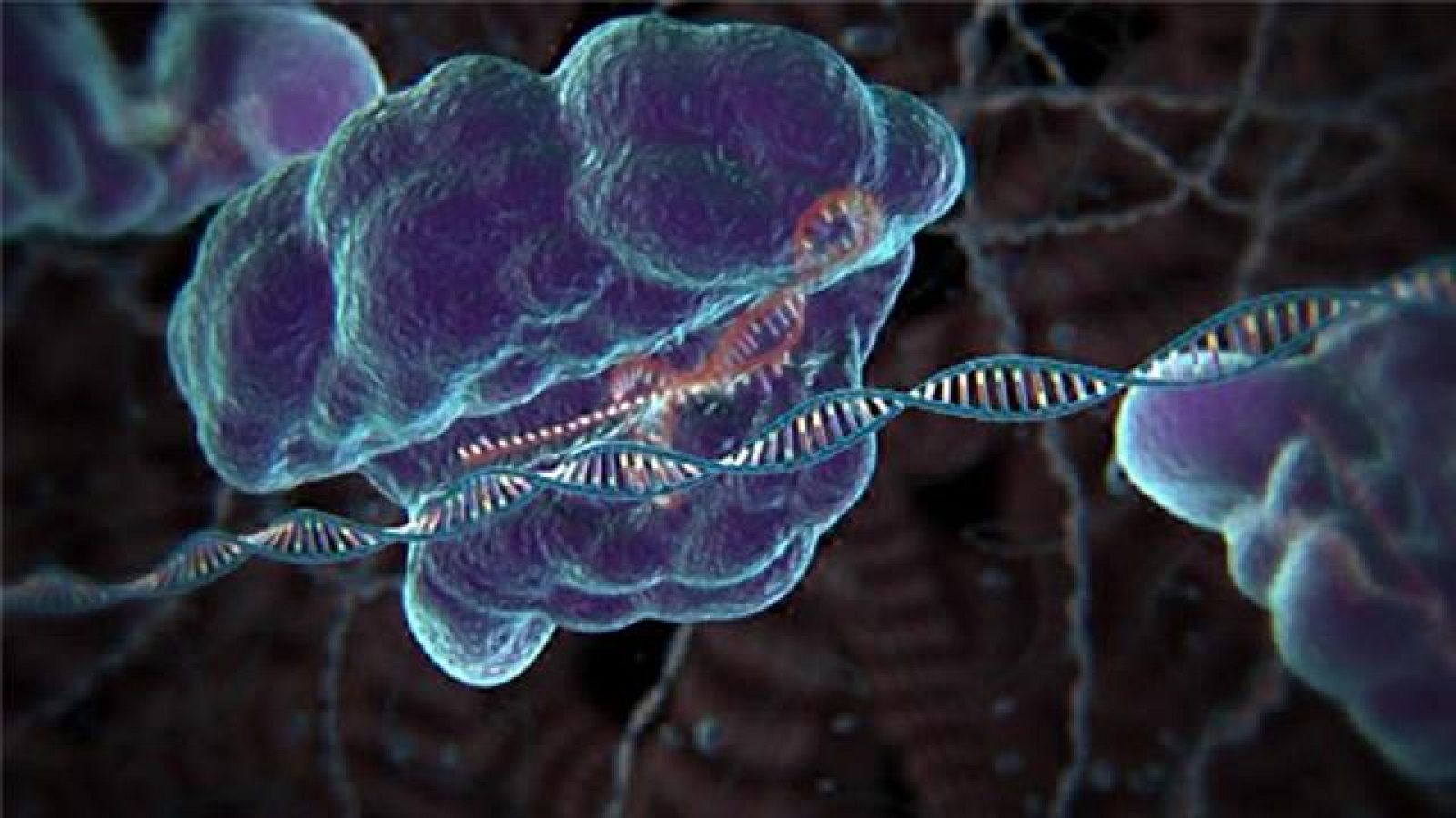 Telecanarias - 11/01/2019