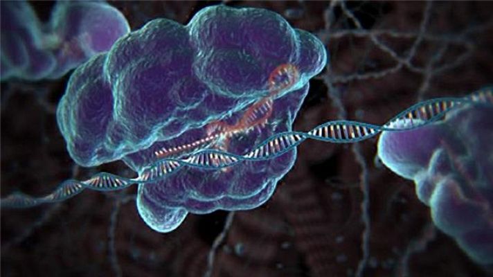 Telecanarias - Telecanarias - 11/01/2019