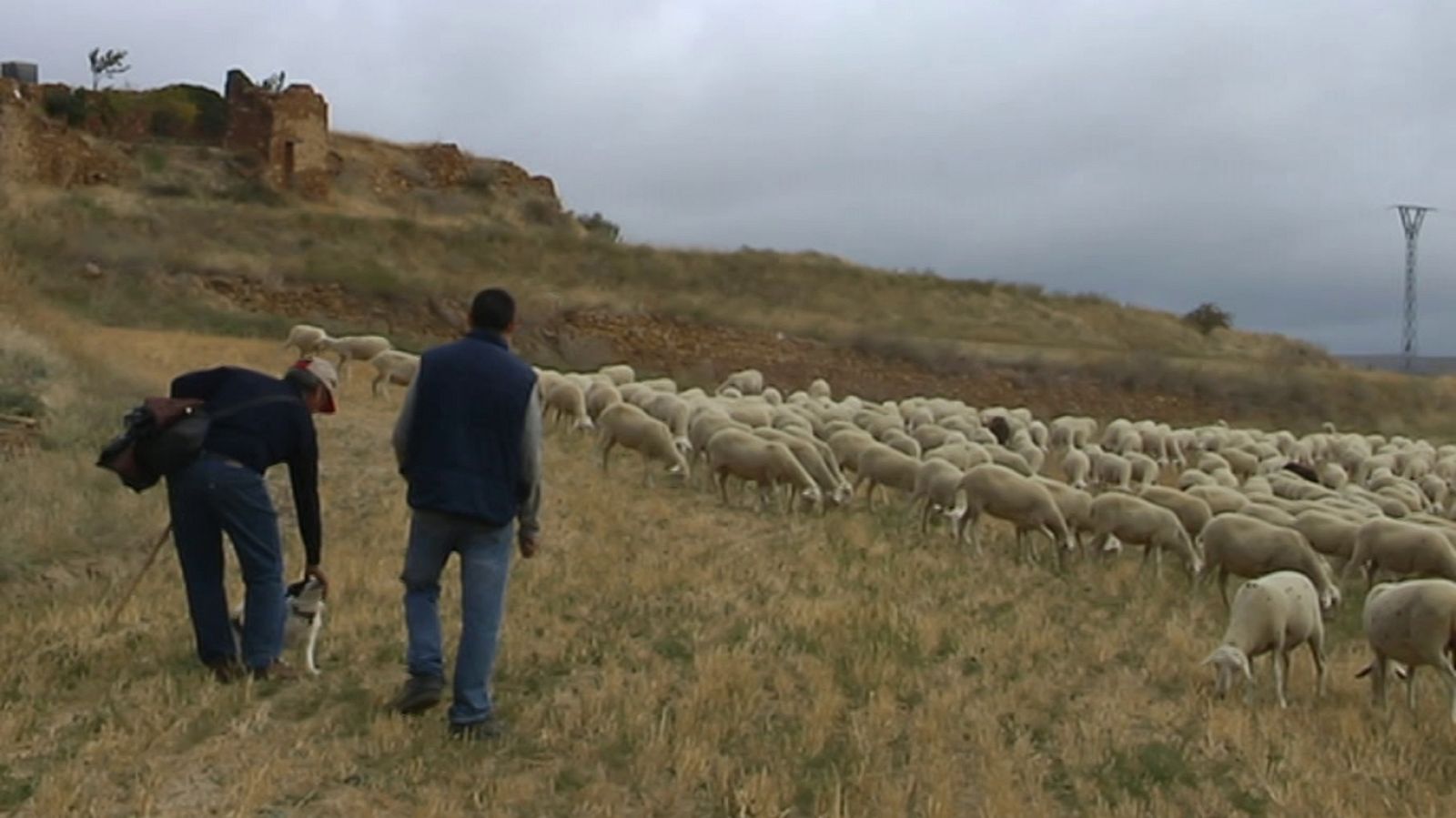 Agrosfera - 12/01/19 - ver ahora