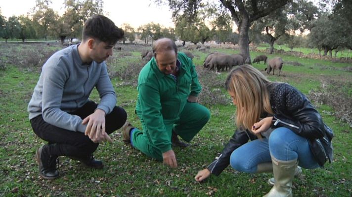 Aquí la Tierra - ¡Roi trabaja de porquero!