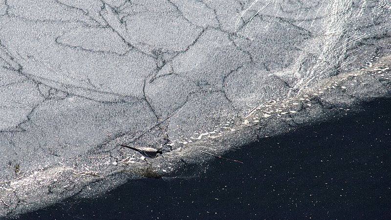 El Tiempo en la Comunidad de Madrid - 14/01/19 - ver ahora