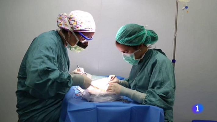 L'Informatiu - L'Informatiu 2 - 14/01/2019