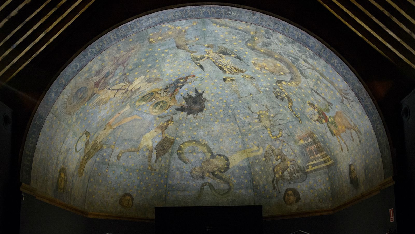 El año del VIII Centenario - 800 USAL | Ver