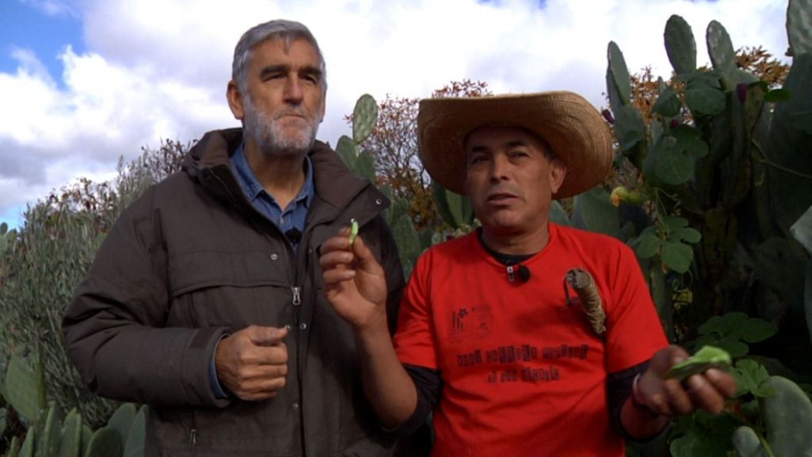 ¡Viva México y su gastronomía!