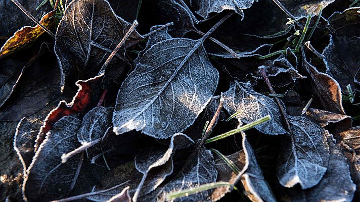 Informativo de Madrid - El Tiempo en la Comunidad de Madrid - 16/01/19