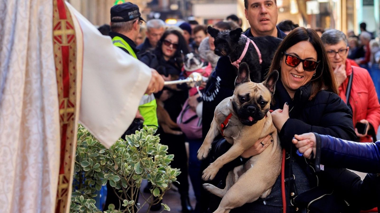 L'Informatiu - Comunitat Valenciana - 17/01/19 - ver ahora
