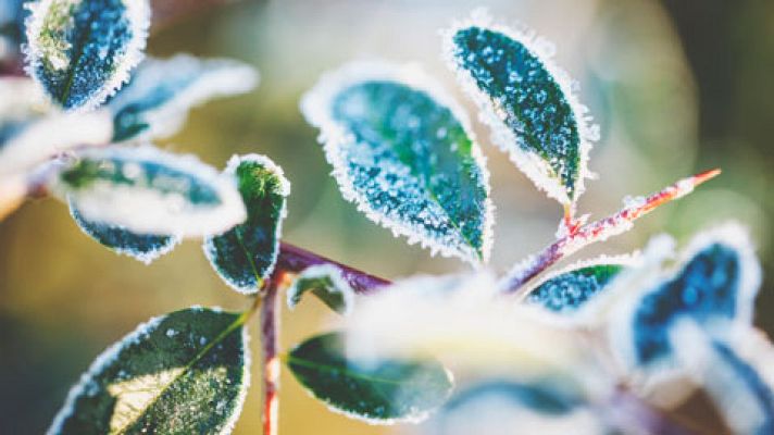 El tiempo - Temperaturas significativamente bajas en amplias zonas del interior peninsular