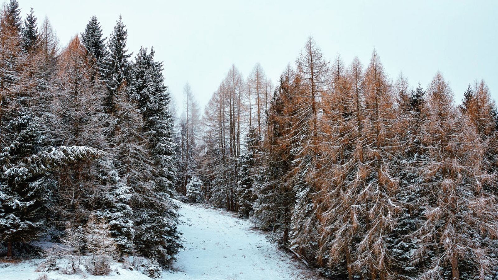 Domingo con lluvias fuertes en el Cantábrico y nieve en montañas del norte