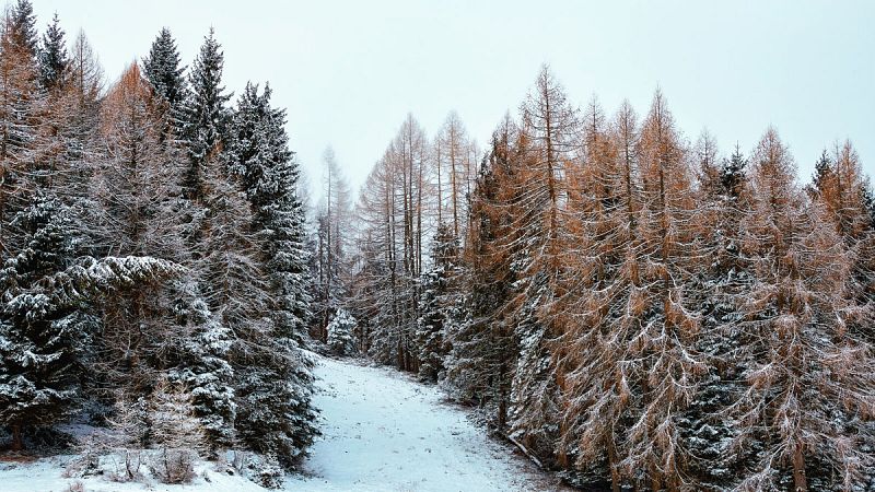 Domingo con lluvias fuertes en el Cantábrico y nieve en montañas del norte